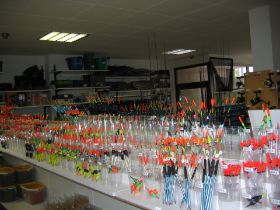 IMG_0147.JPG